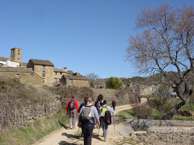 DSC01167
