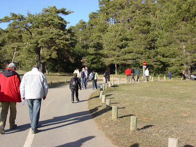 DSC01197