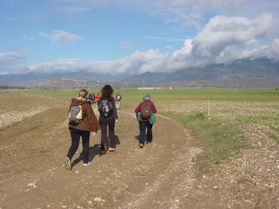 DSC00501