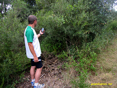 06-IMG 8065 FrancescP buscant