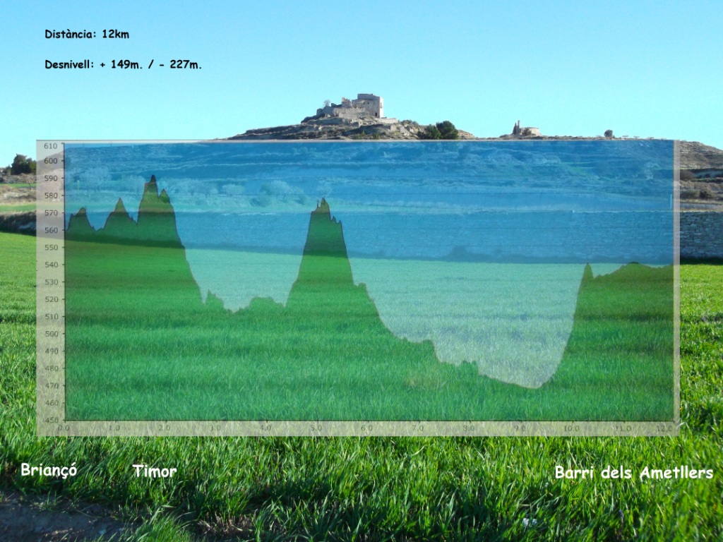 2014 Caminada llunatica