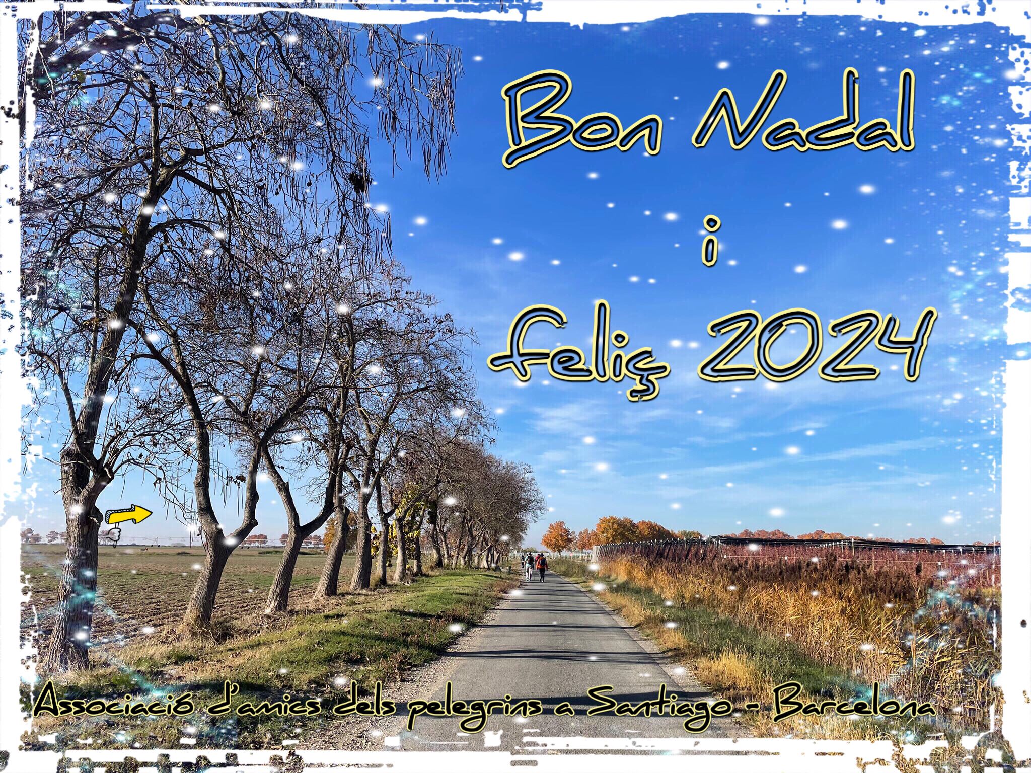 As.amics de BarcelonaaS