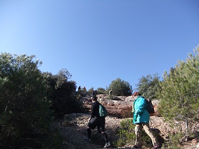 DSCF0426