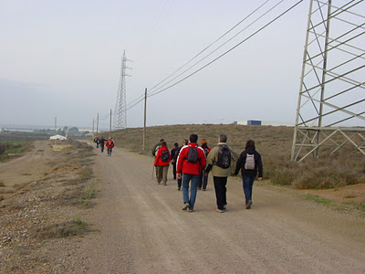 DSC06789