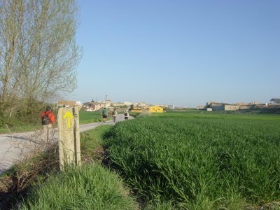DSC04080