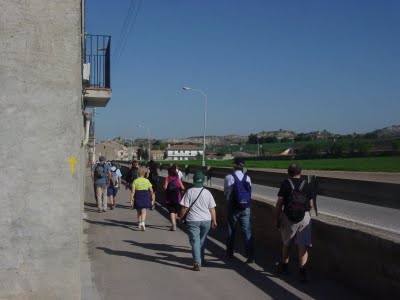 DSC04104
