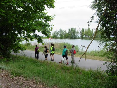 DSC04721