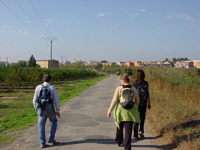 DSC06659