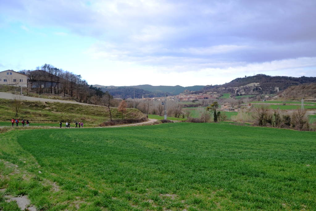DSC 0090
