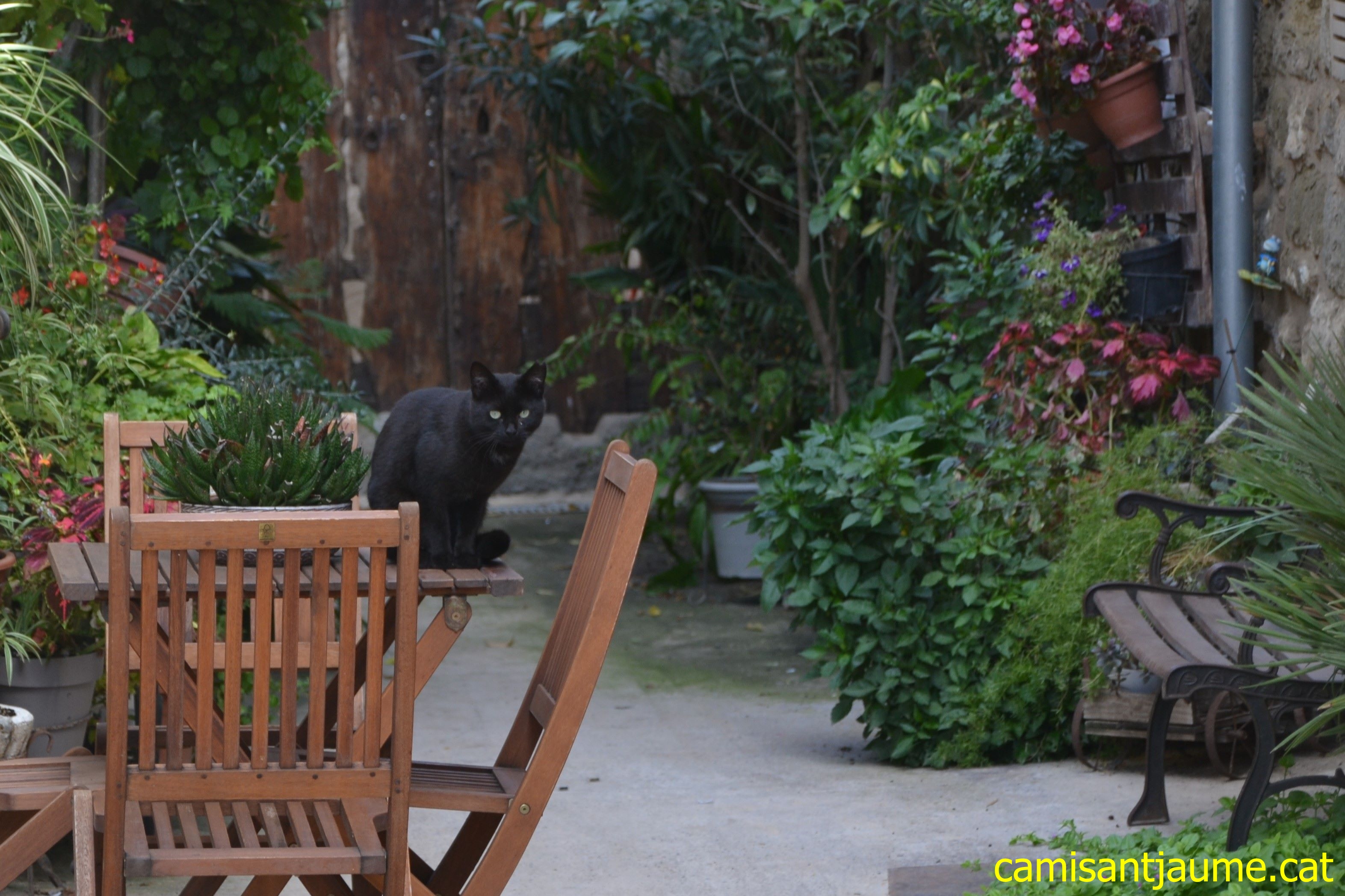 DSC 0140   còpia new