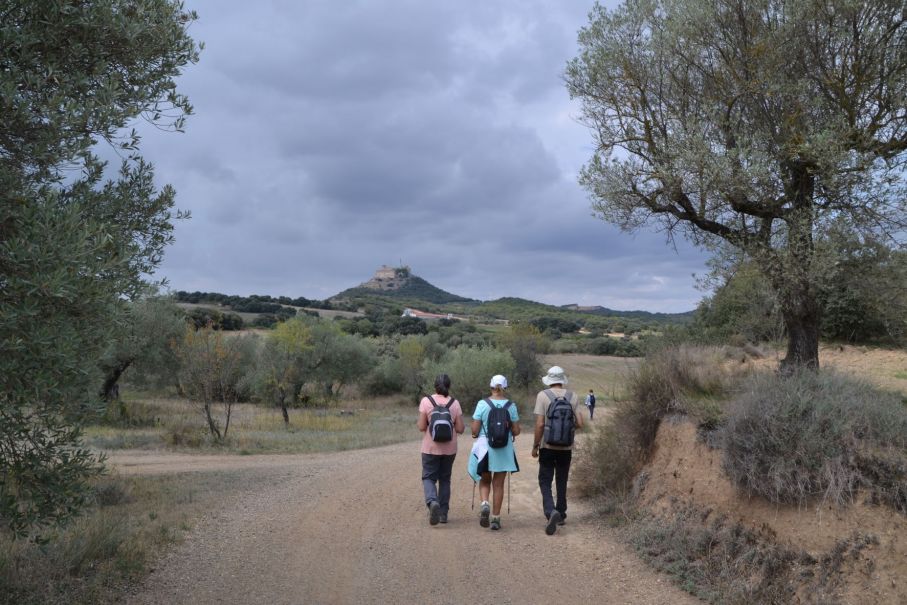 Costean - Monasterio del Pueyo